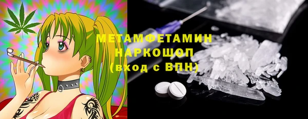 прущие грибы Бронницы