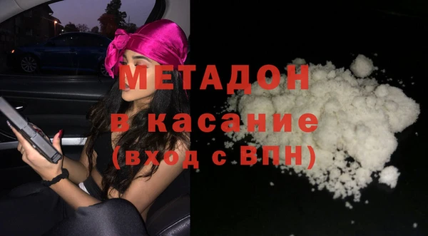 прущие грибы Бронницы